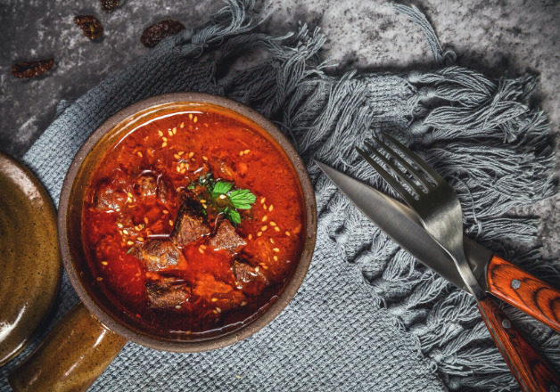Selbstgemachtes Rehragout mit Schokolade