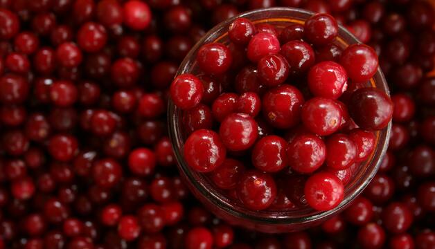 Preiselbeeren