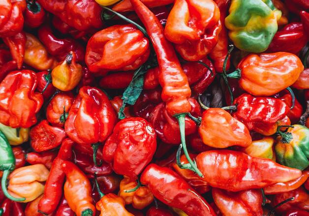 Chili unterstützt beim Abnehmen