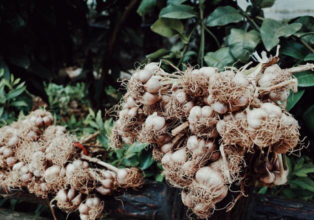 Gewürze, die Stoffwechsel anregen