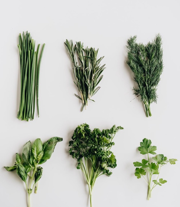 Kräuter gegen Arthrose