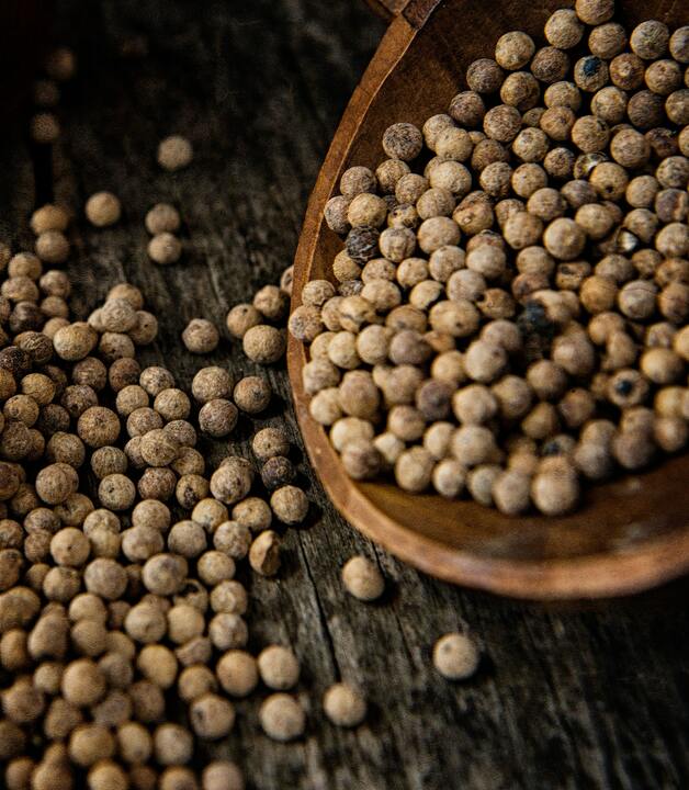 Gewürze sind kostbar