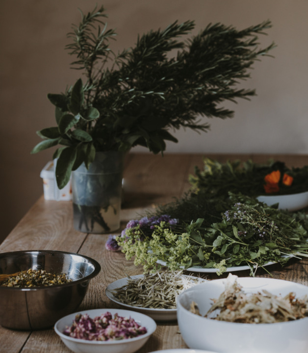 Kräuter zu Blumenkohl