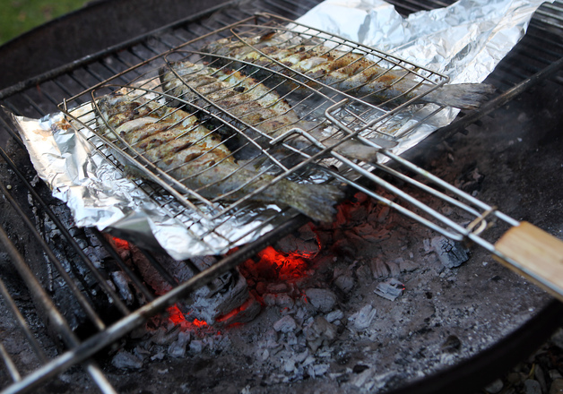 Gegrillte Forelle