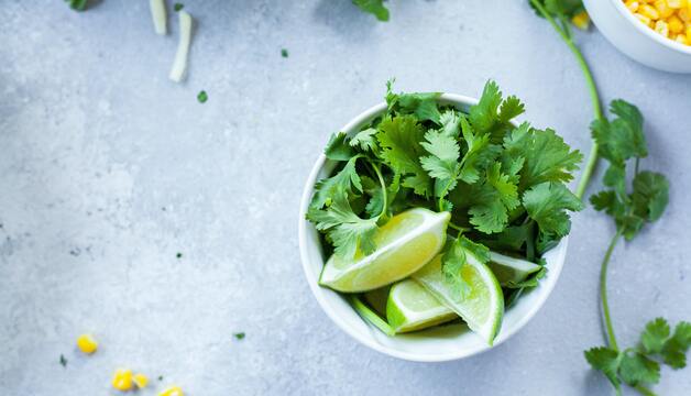 Limetten und Koriander