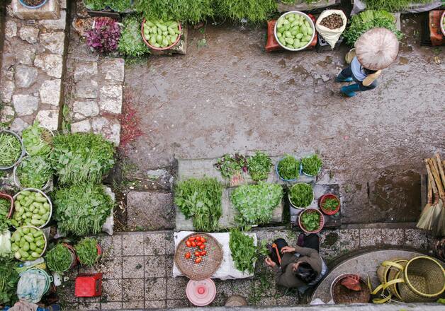 Asiatische Kräuter und Gewürze