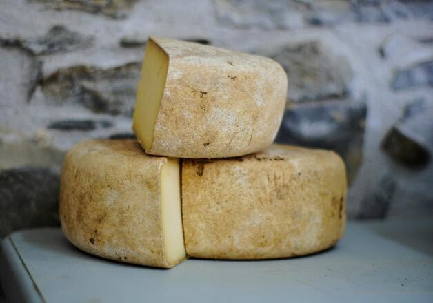 Feiner Pecorino