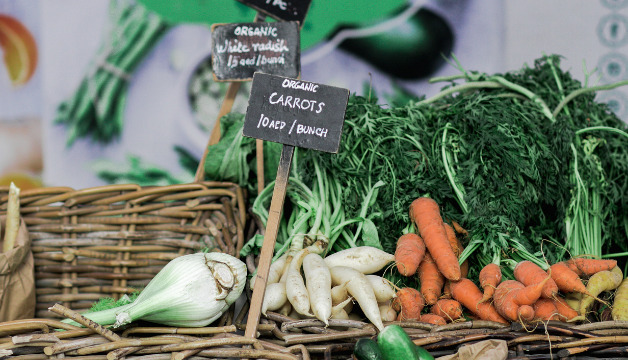 Fenchelsamen für die gesunde Küche