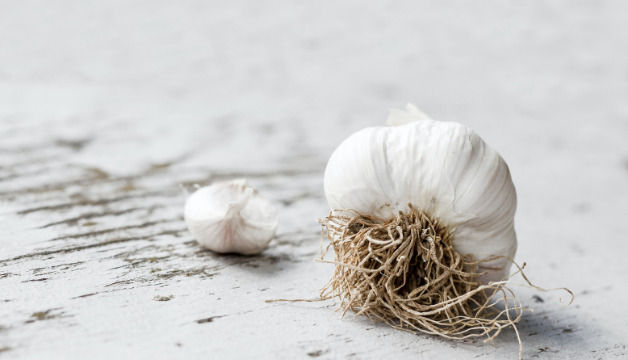 Knoblauchpulver Gewürz