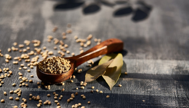 Koriander ganz kaufen