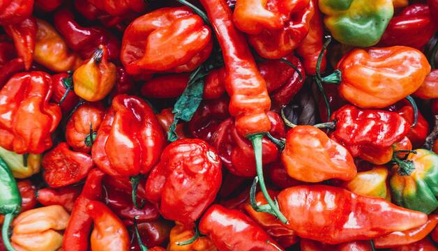 Paprika