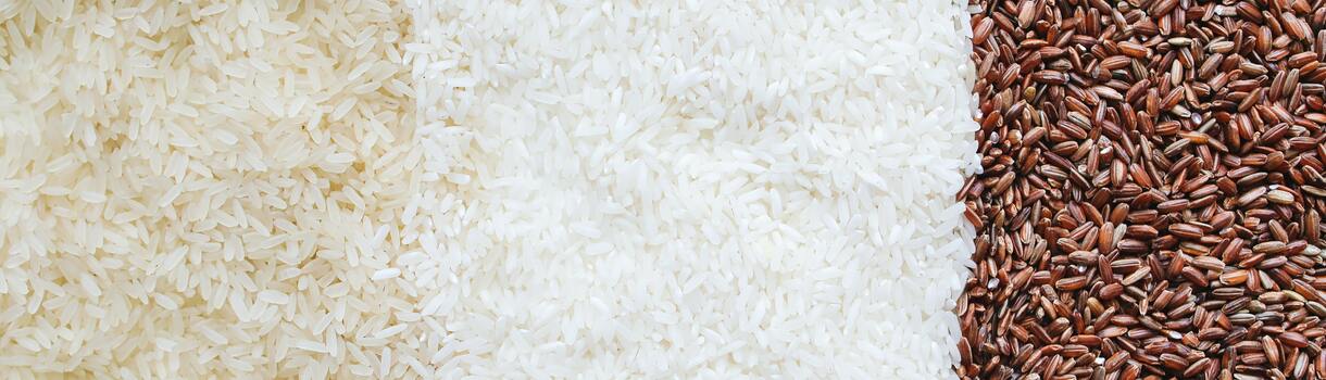 Paella-Reis für deine Paella