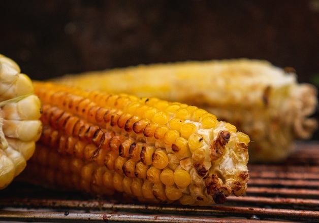 Maiskolben grillen