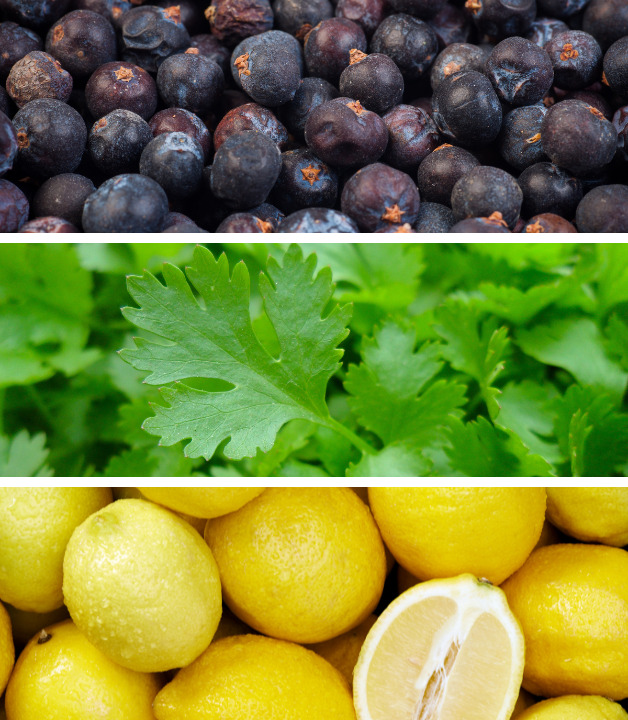 Wacholder, Petersilie und Zitronen