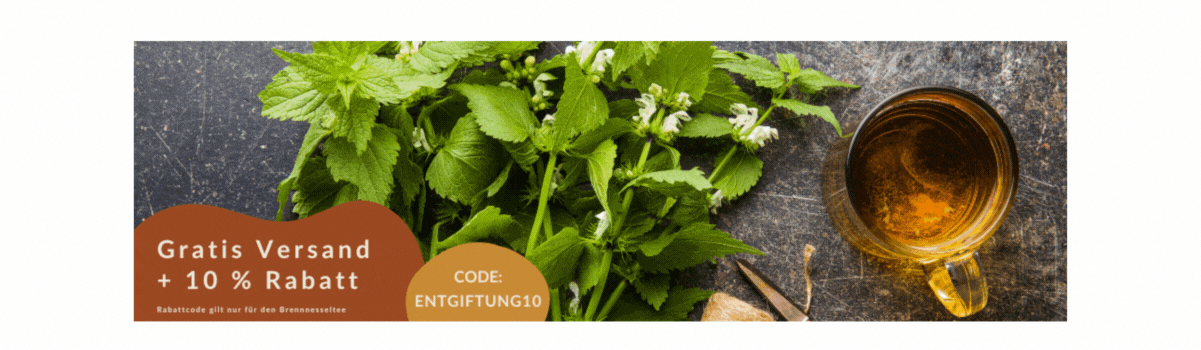 Brennnessel Tee für die Leber