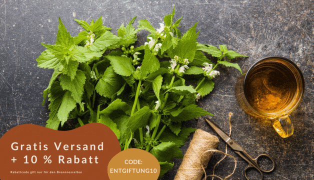 Brennnessel Tee für die Leber