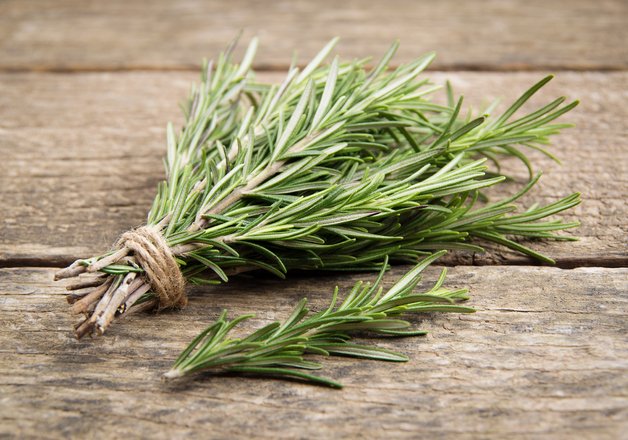 Rosmarin, das gesunde Kraut