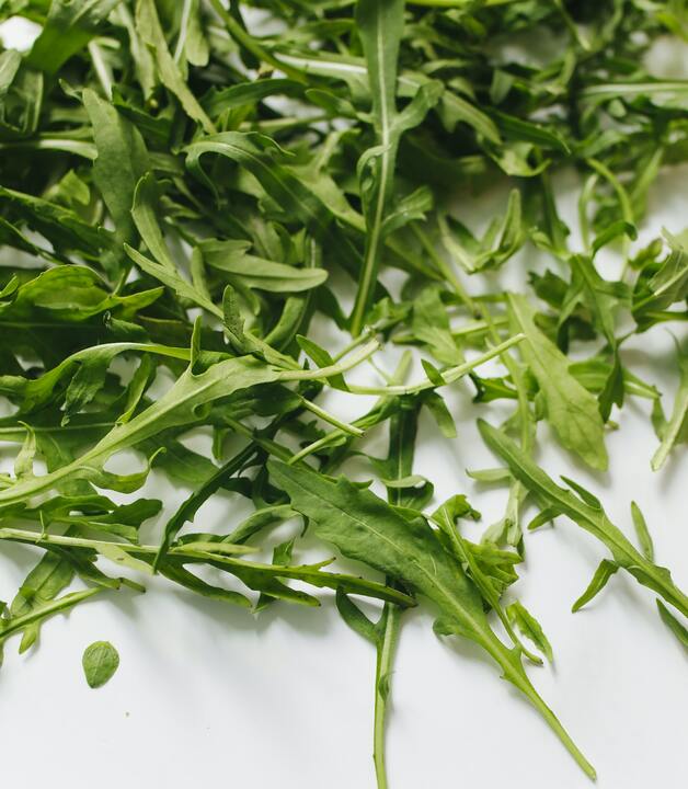 Rucola