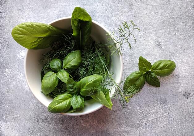 Kochen mit frischen Kräutern