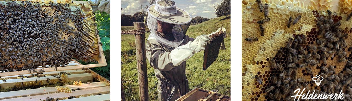 Bienen als Beitrag für den Artenschutz