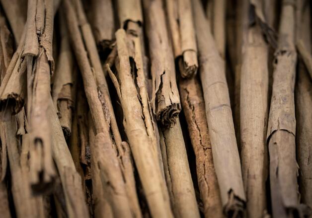 Hochwertiger Ceylon Zimt