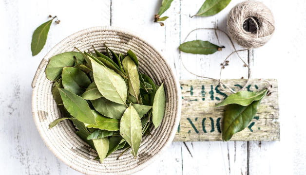 Lorbeerblätter kaufen