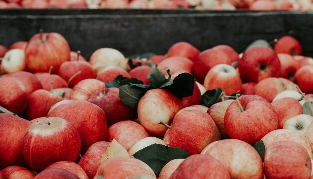 Äpfel
