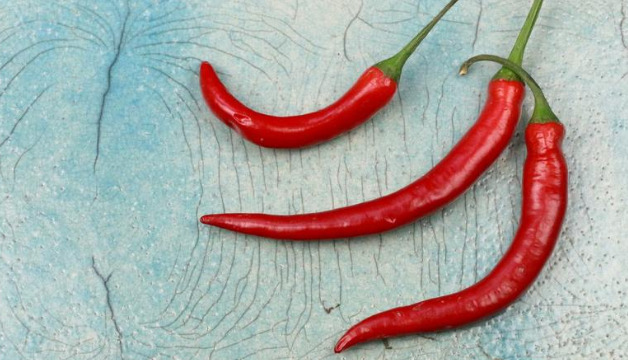 Chilischoten
