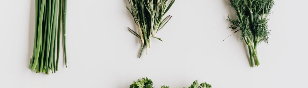 Detox Tee selber machen