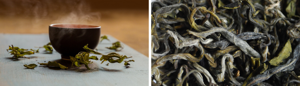 Gesundheitsfördernde Wirkung von Grüntee