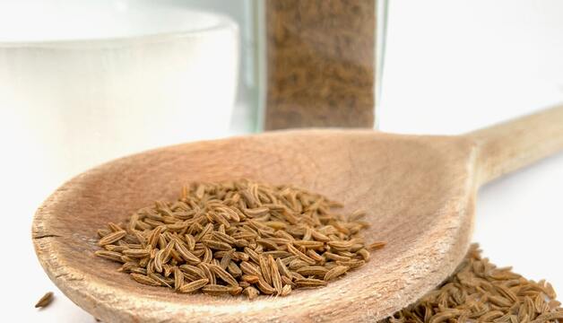 Kümmel gemahlen kaufen