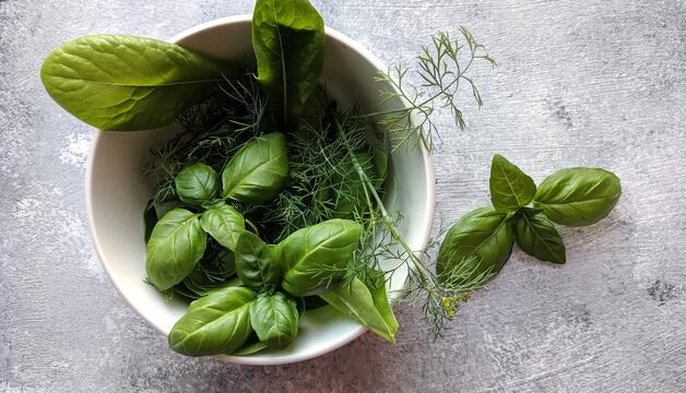Salatkräuter selber machen
