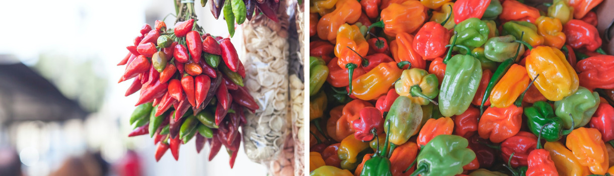 Chilisorten zum Kochen