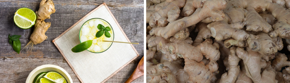 Ingwer für Erfrischungsgetränke