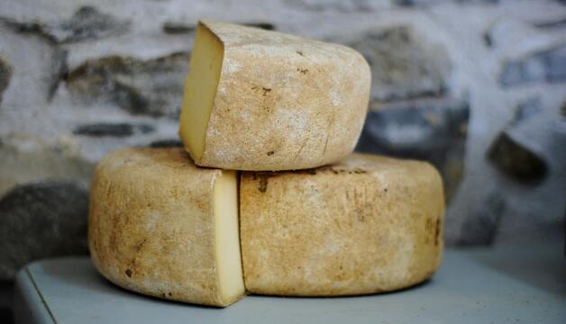 Parmesan